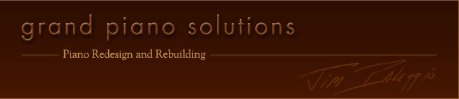 Grand Piano Solutions - Piano Redesign and Rebuilding - Jim Ialeggio